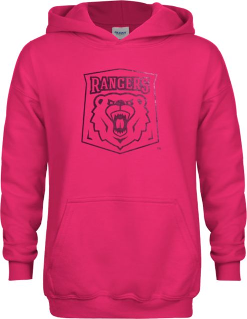 Wisconsin Parkside Youth Fleece Hoodie Primary Athletic Mark Foil - ONLINE ONLY