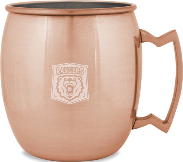 Wisconsin Parkside Copper Mug
